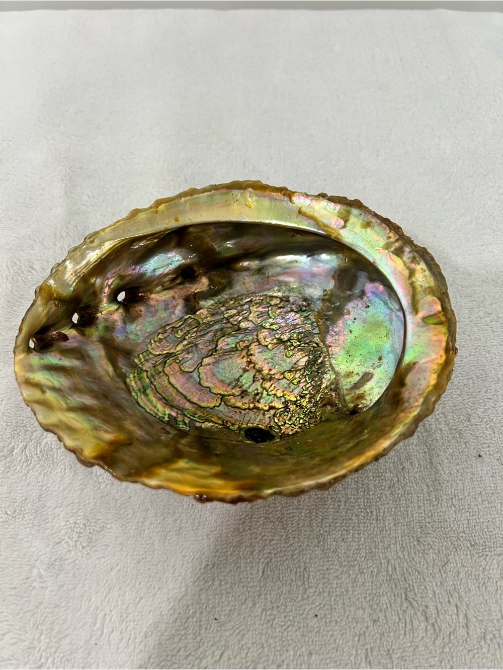Shell Decorative Bowl for incense burneror smudge rituals